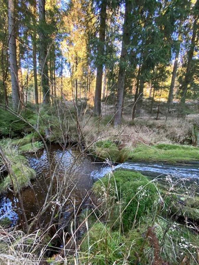 Berghaus Carlsfeld Villa Eibenstock Eksteriør bilde